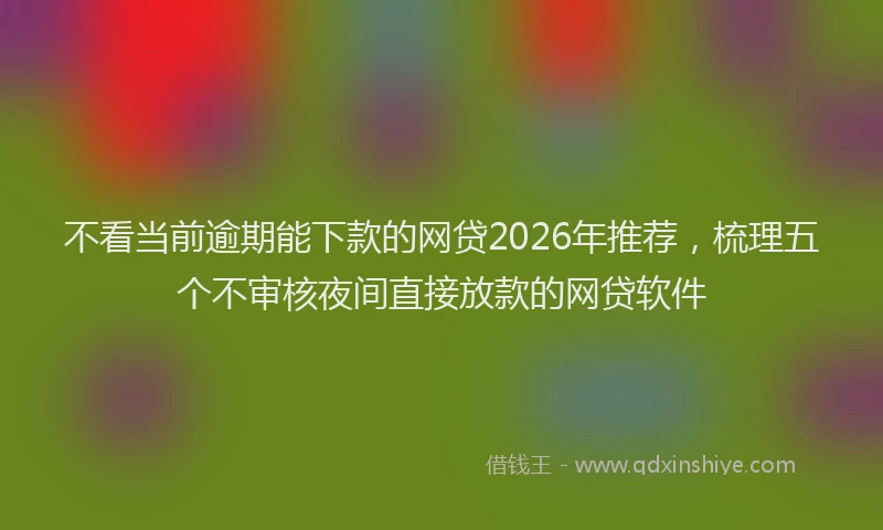 不看当前逾期能下款的网贷2026年推荐，梳理五个不审核夜间直接放款的网贷软件