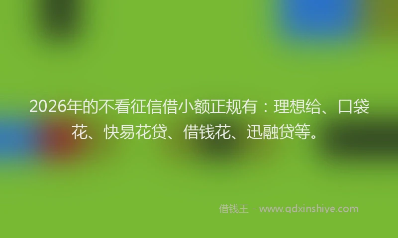 2026年的不看征信借小额正规有:理想给、口袋花、快易花贷、借钱花、迅融贷等。
