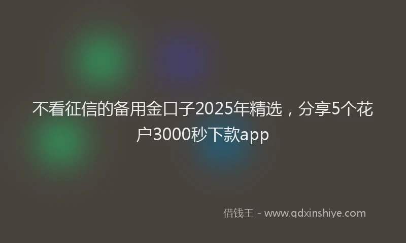 不看征信的备用金口子2025年精选，分享5个花户3000秒下款app