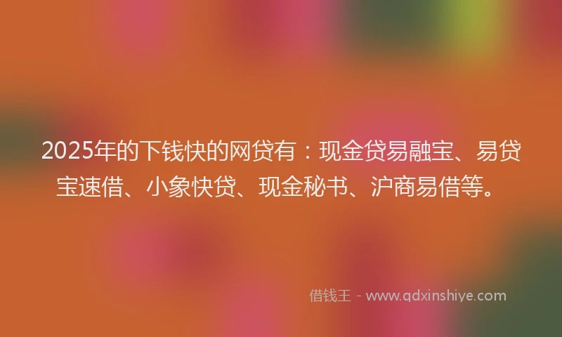 2025年的下钱快的网贷有：现金贷易融宝、易贷宝速借、小象快贷、现金秘书、沪商易借等。