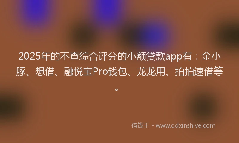 2025年的不查综合评分的小额贷款app有：金小豚、想借、融悦宝Pro钱包、龙龙用、拍拍速借等。