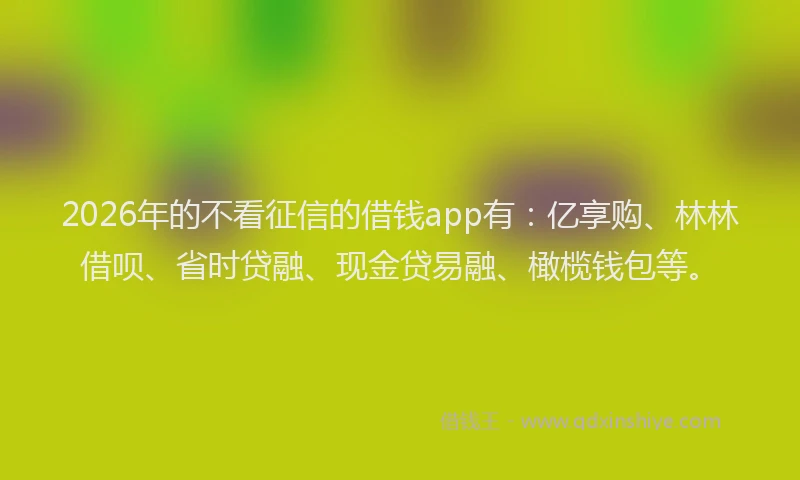 2026年的不看征信的借钱app有：亿享购、林林借呗、省时贷融、现金贷易融、橄榄钱包等。