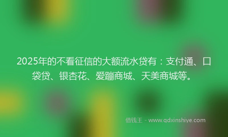 2025年的不看征信的大额流水贷有：支付通、口袋贷、银杏花、爱蹦商城、天美商城等。