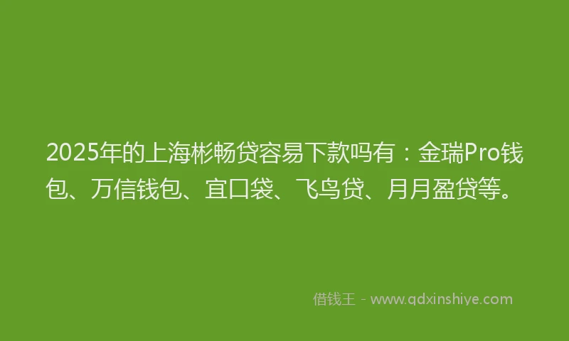2025年的上海彬畅贷容易下款吗有：金瑞Pro钱包、万信钱包、宜口袋、飞鸟贷、月月盈贷等。