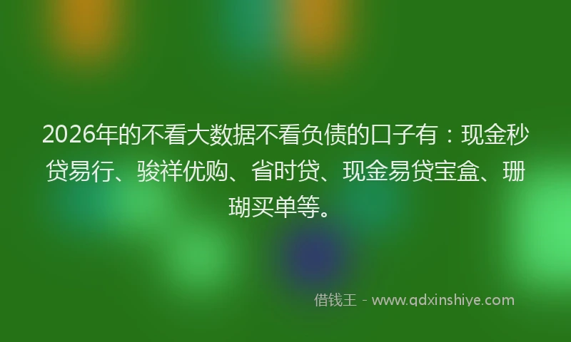 2026年的不看大数据不看负债的口子有：现金秒贷易行、骏祥优购、省时贷、现金易贷宝盒、珊瑚买单等。