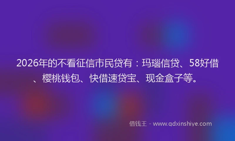 2026年的不看征信市民贷有：玛瑙信贷、58好借、樱桃钱包、快借速贷宝、现金盒子等。