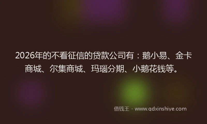 2026年的不看征信的贷款公司有：鹅小易、金卡商城、尔集商城、玛瑙分期、小鹅花钱等。