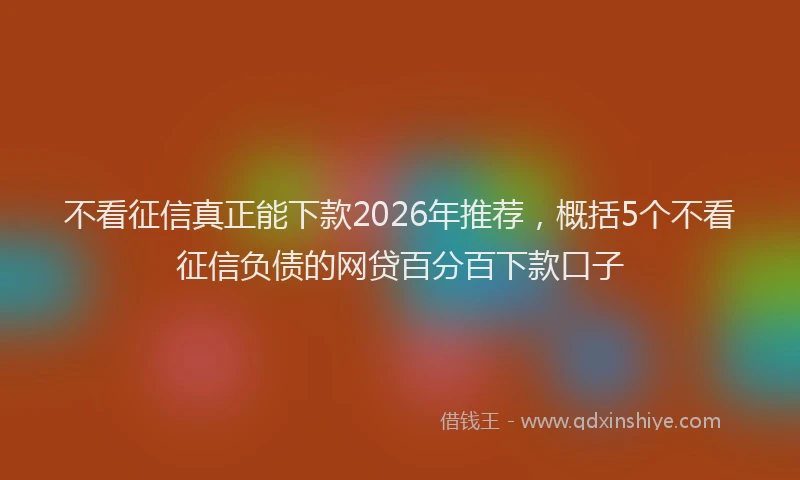 不看征信真正能下款2026年推荐，概括5个不看征信负债的网贷百分百下款口子