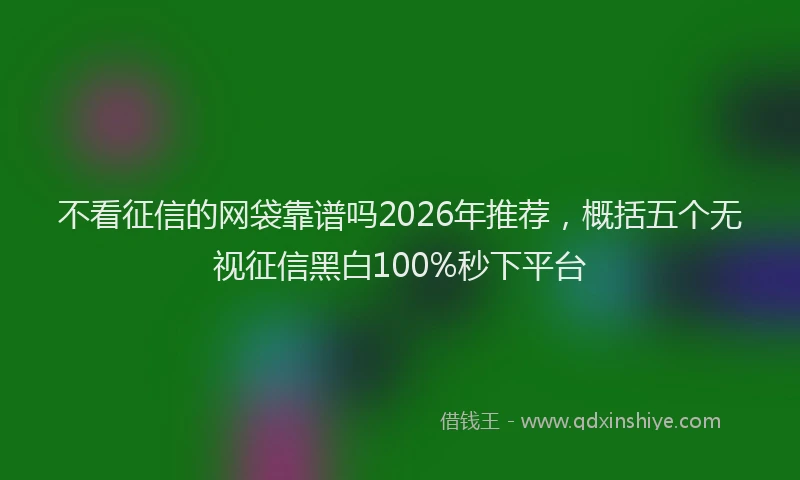 不看征信的网袋靠谱吗2026年推荐，概括五个无视征信黑白100%秒下平台