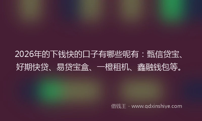 2026年的下钱快的口子有哪些呢有：甄信贷宝、好期快贷、易贷宝盒、一橙租机、鑫融钱包等。