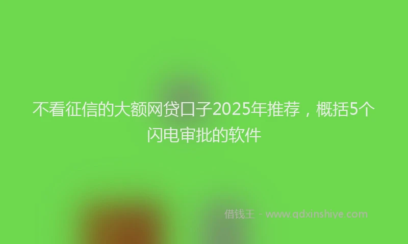 不看征信的大额网贷口子2025年推荐，概括5个闪电审批的软件
