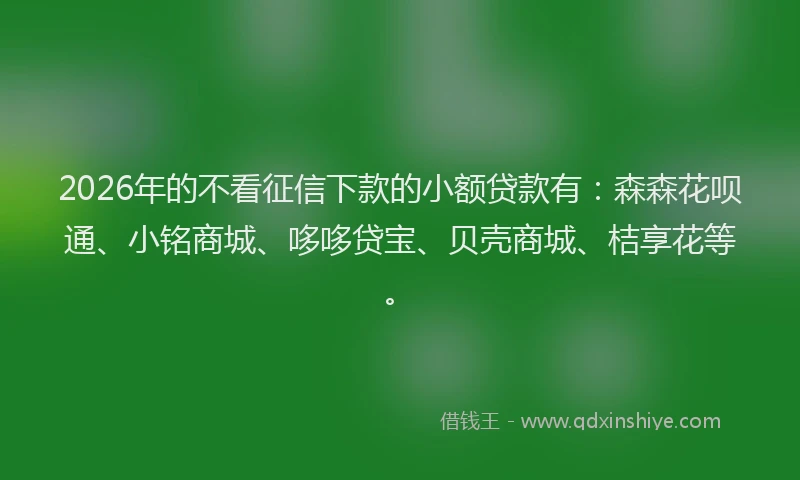 2026年的不看征信下款的小额贷款有：森森花呗通、小铭商城、哆哆贷宝、贝壳商城、桔享花等。