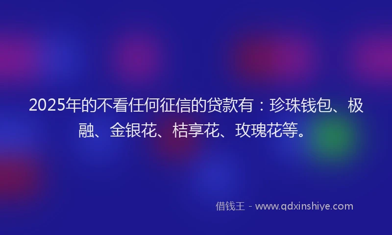 2025年的不看任何征信的贷款有：珍珠钱包、极融、金银花、桔享花、玫瑰花等。
