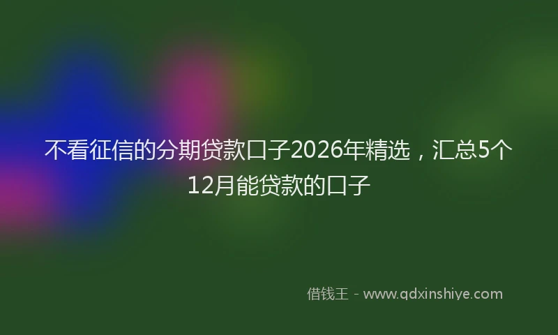不看征信的分期贷款口子2026年精选，汇总5个12月能贷款的口子