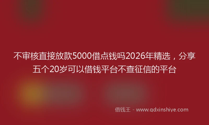 不审核直接放款5000借点钱吗2026年精选，分享五个20岁可以借钱平台不查征信的平台