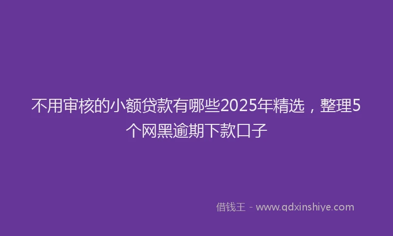 不用审核的小额贷款有哪些2025年精选，整理5个网黑逾期下款口子