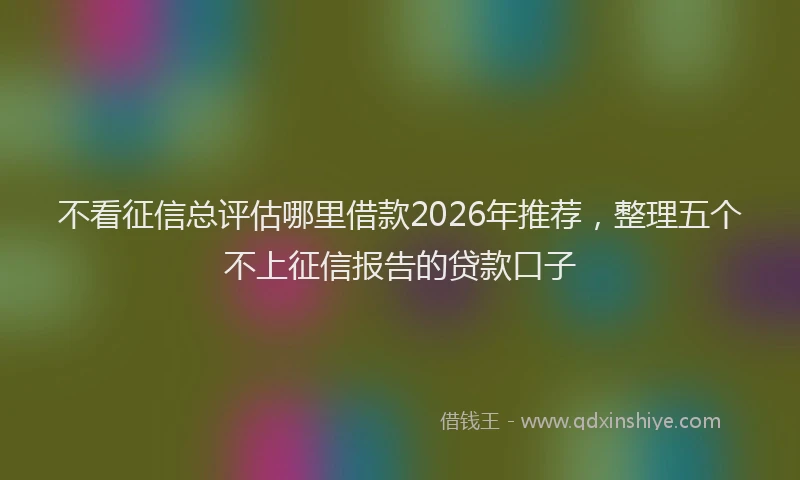 不看征信总评估哪里借款2026年推荐，整理五个不上征信报告的贷款口子