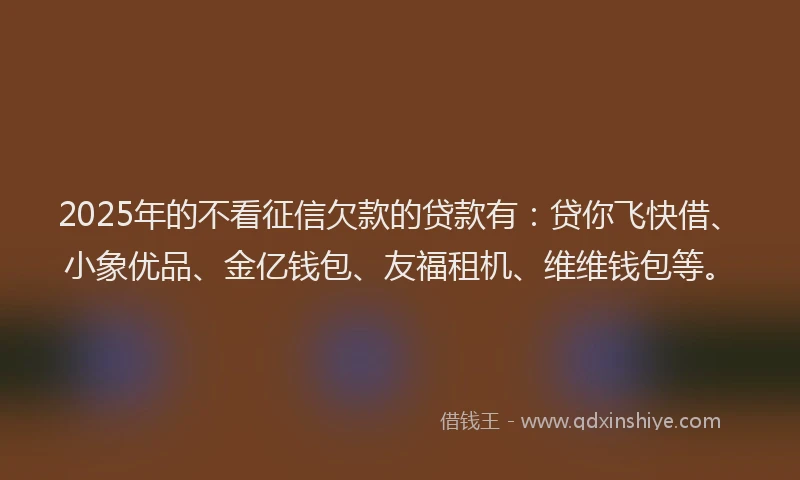 2025年的不看征信欠款的贷款有：贷你飞快借、小象优品、金亿钱包、友福租机、维维钱包等。