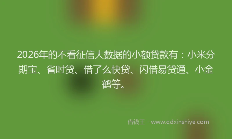 2026年的不看征信大数据的小额贷款有：小米分期宝、省时贷、借了么快贷、闪借易贷通、小金鹤等。