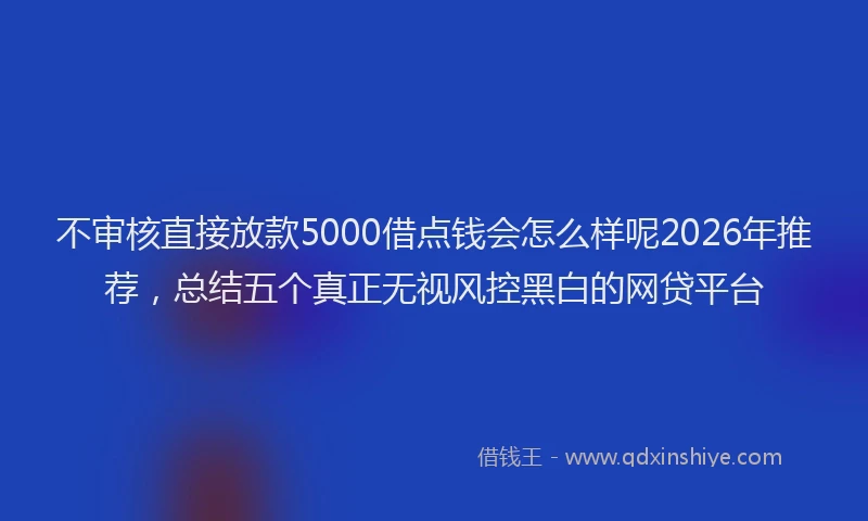 不审核直接放款5000借点钱会怎么样呢2026年推荐，总结五个真正无视风控黑白的网贷平台