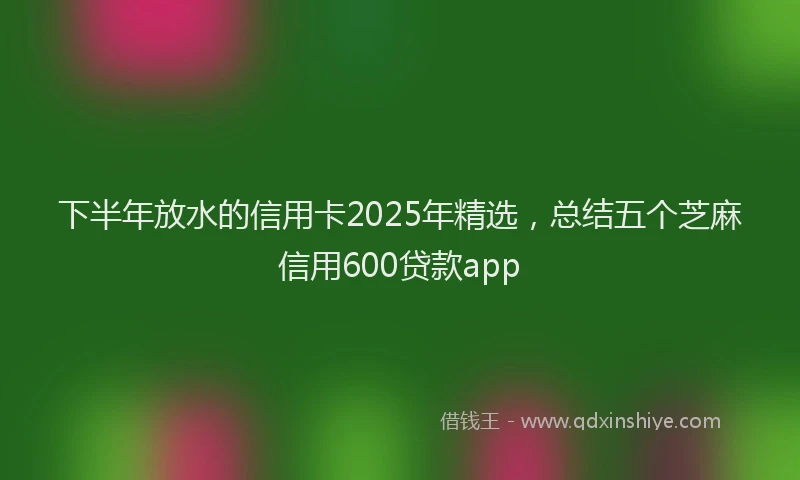 下半年放水的信用卡2025年精选，总结五个芝麻信用600贷款app