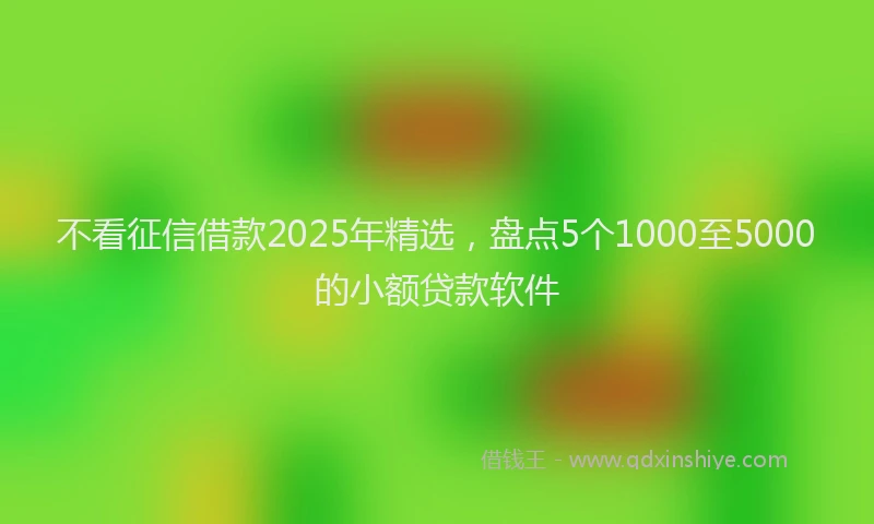 不看征信借款2025年精选，盘点5个1000至5000的小额贷款软件