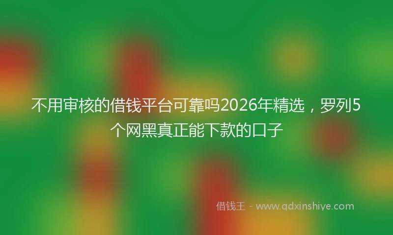 不用审核的借钱平台可靠吗2026年精选，罗列5个网黑真正能下款的口子