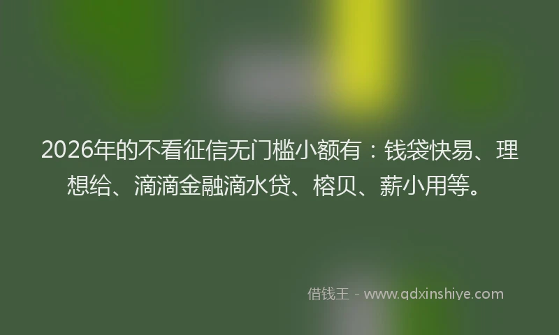 2026年的不看征信无门槛小额有：钱袋快易、理想给、滴滴金融滴水贷、榕贝、薪小用等。
