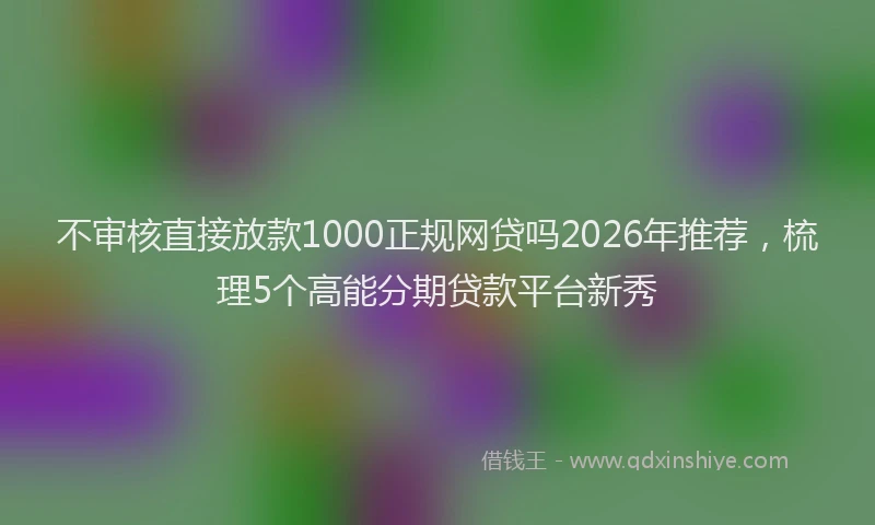 不审核直接放款1000正规网贷吗2026年推荐，梳理5个高能分期贷款平台新秀