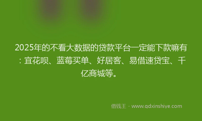 2025年的不看大数据的贷款平台一定能下款嘛有：宜花呗、蓝莓买单、好居客、易借速贷宝、千亿商城等。
