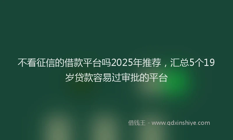 不看征信的借款平台吗2025年推荐，汇总5个19岁贷款容易过审批的平台