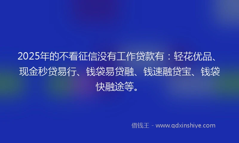 2025年的不看征信没有工作贷款有：轻花优品、现金秒贷易行、钱袋易贷融、钱速融贷宝、钱袋快融途等。