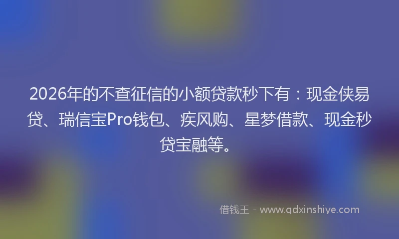 2026年的不查征信的小额贷款秒下有：现金侠易贷、瑞信宝Pro钱包、疾风购、星梦借款、现金秒贷宝融等。
