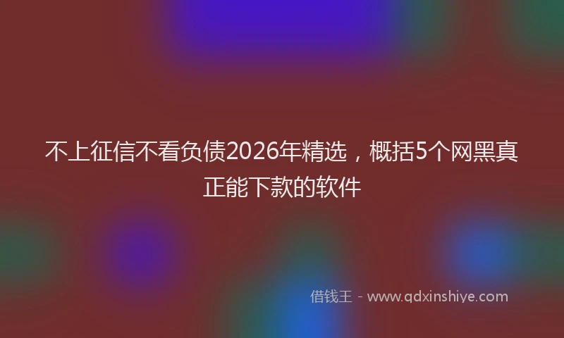 不上征信不看负债2026年精选,概括5个网黑真正能下款的软件