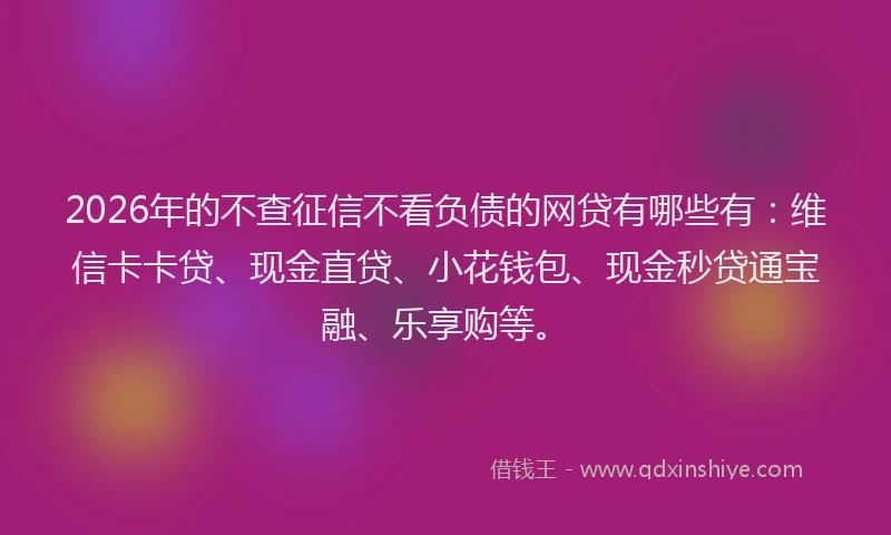 2026年的不查征信不看负债的网贷有哪些有：维信卡卡贷、现金直贷、小花钱包、现金秒贷通宝融、乐享购等。