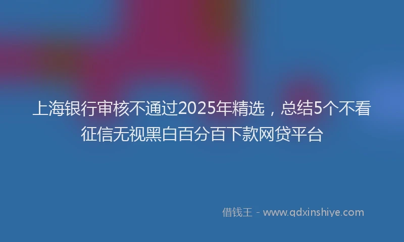 上海银行审核不通过2025年精选，总结5个不看征信无视黑白百分百下款网贷平台