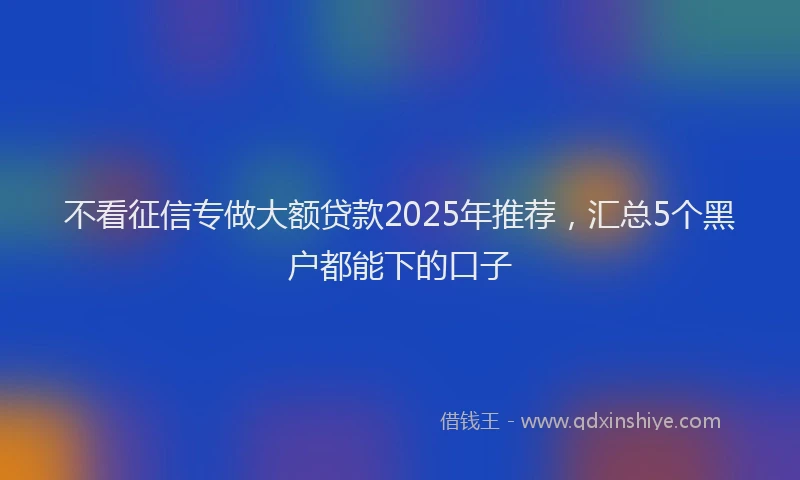 不看征信专做大额贷款2025年推荐，汇总5个黑户都能下的口子