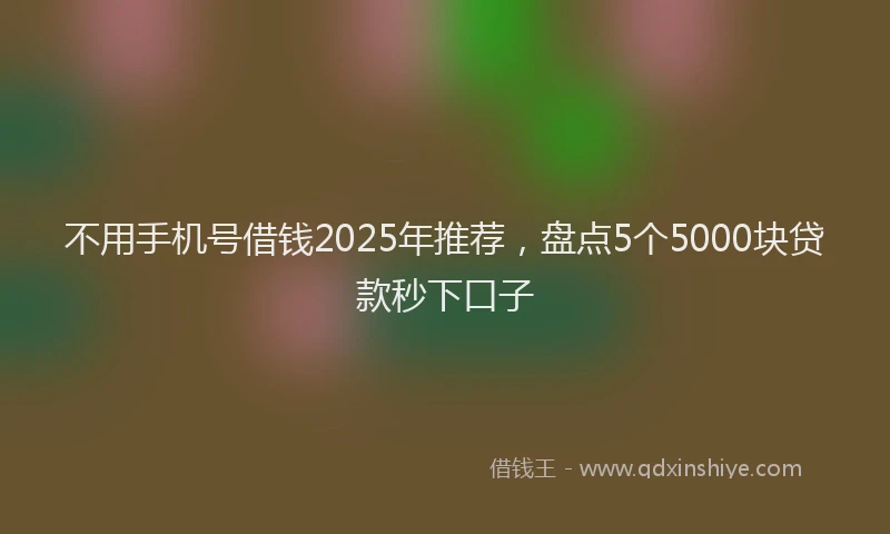 不用手机号借钱2025年推荐，盘点5个5000块贷款秒下口子