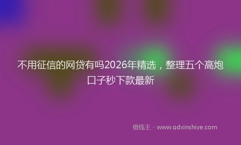 不用征信的网贷有吗2026年精选，整理五个高炮口子秒下款最新