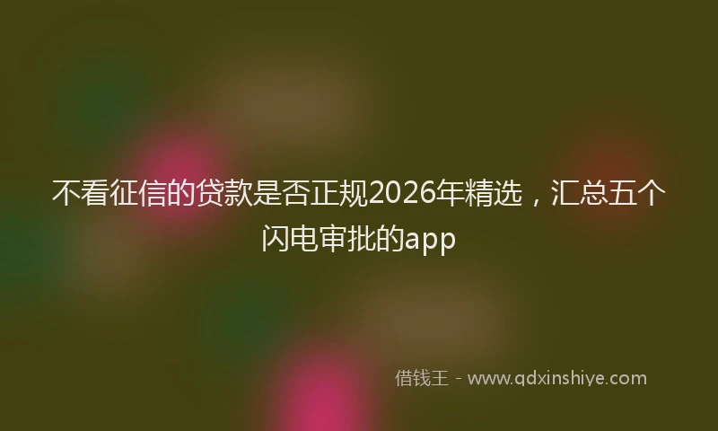 不看征信的贷款是否正规2026年精选，汇总五个闪电审批的app