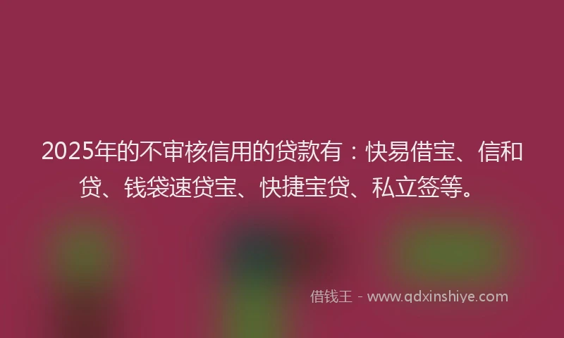 2025年的不审核信用的贷款有：快易借宝、信和贷、钱袋速贷宝、快捷宝贷、私立签等。