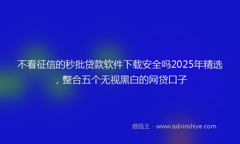 不看征信的秒批贷款软件下载安全吗2025年精选，整合五个无视黑白的网贷口子