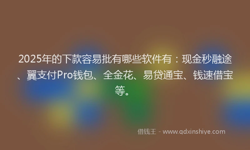 2025年的下款容易批有哪些软件有：现金秒融途、翼支付Pro钱包、全金花、易贷通宝、钱速借宝等。