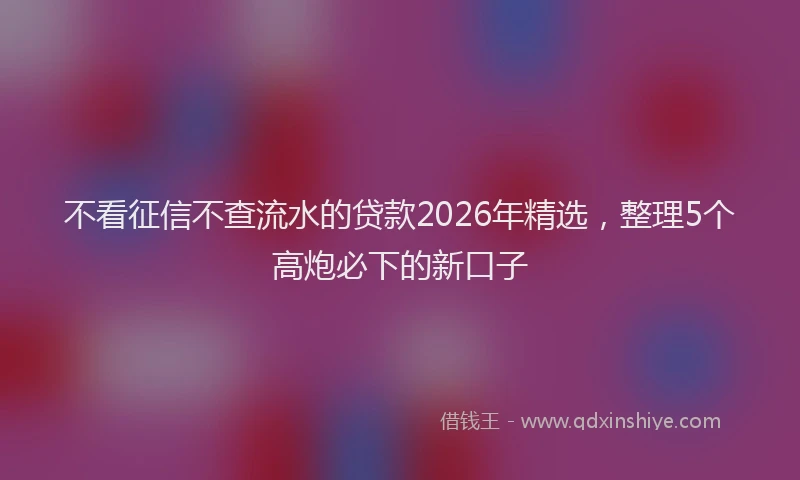 不看征信不查流水的贷款2026年精选，整理5个高炮必下的新口子