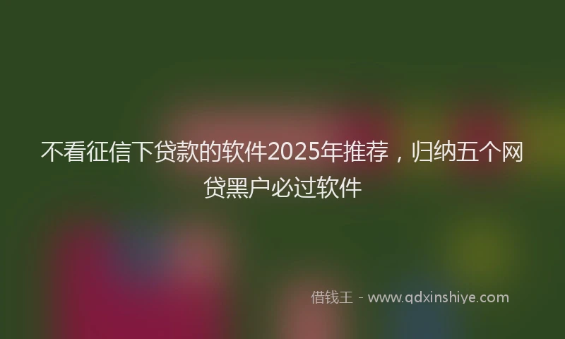 不看征信下贷款的软件2025年推荐，归纳五个网贷黑户必过软件