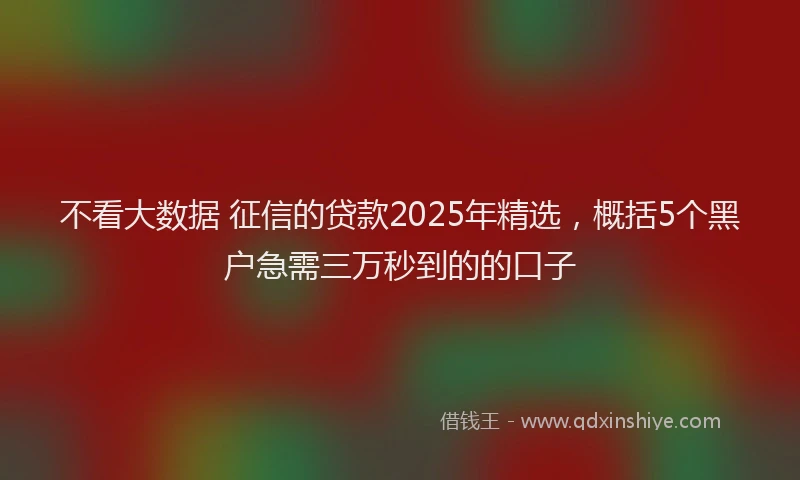 不看大数据 征信的贷款2025年精选，概括5个黑户急需三万秒到的的口子