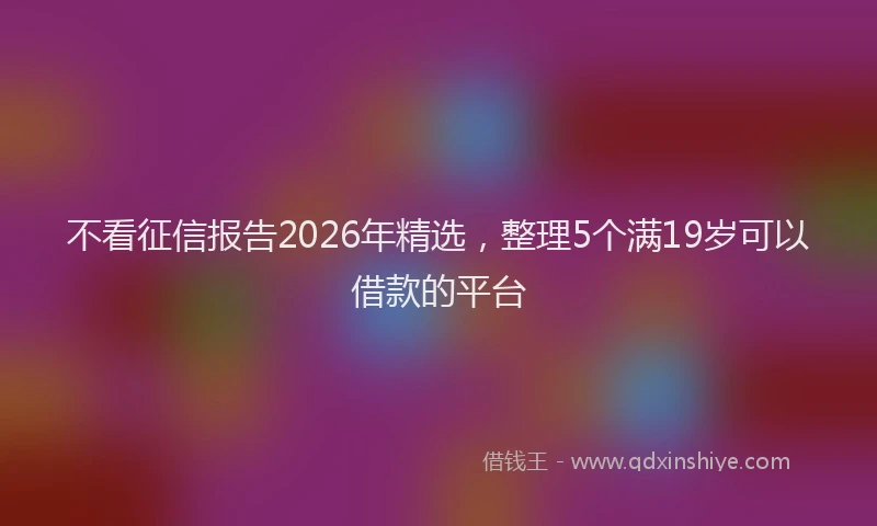 不看征信报告2026年精选，整理5个满19岁可以借款的平台