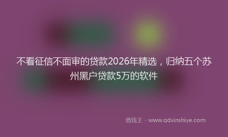 不看征信不面审的贷款2026年精选，归纳五个苏州黑户贷款5万的软件