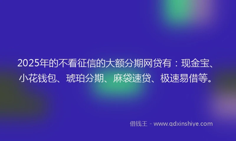 2025年的不看征信的大额分期网贷有：现金宝、小花钱包、琥珀分期、麻袋速贷、极速易借等。