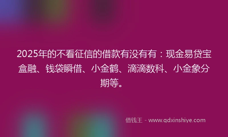 2025年的不看征信的借款有没有有：现金易贷宝盒融、钱袋瞬借、小金鹤、滴滴数科、小金象分期等。
